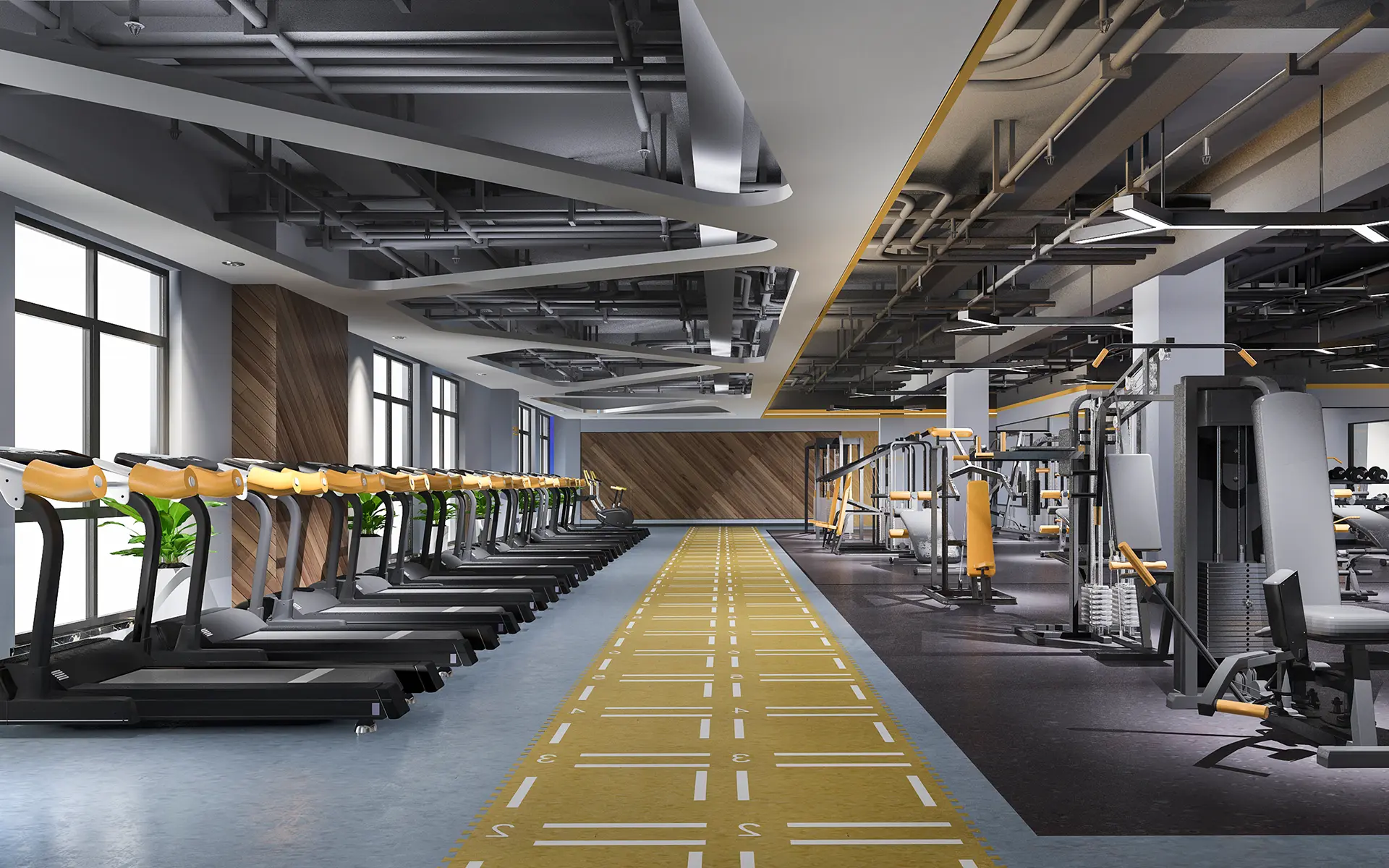 Complete Guide to Setting Up a Commercial Gym